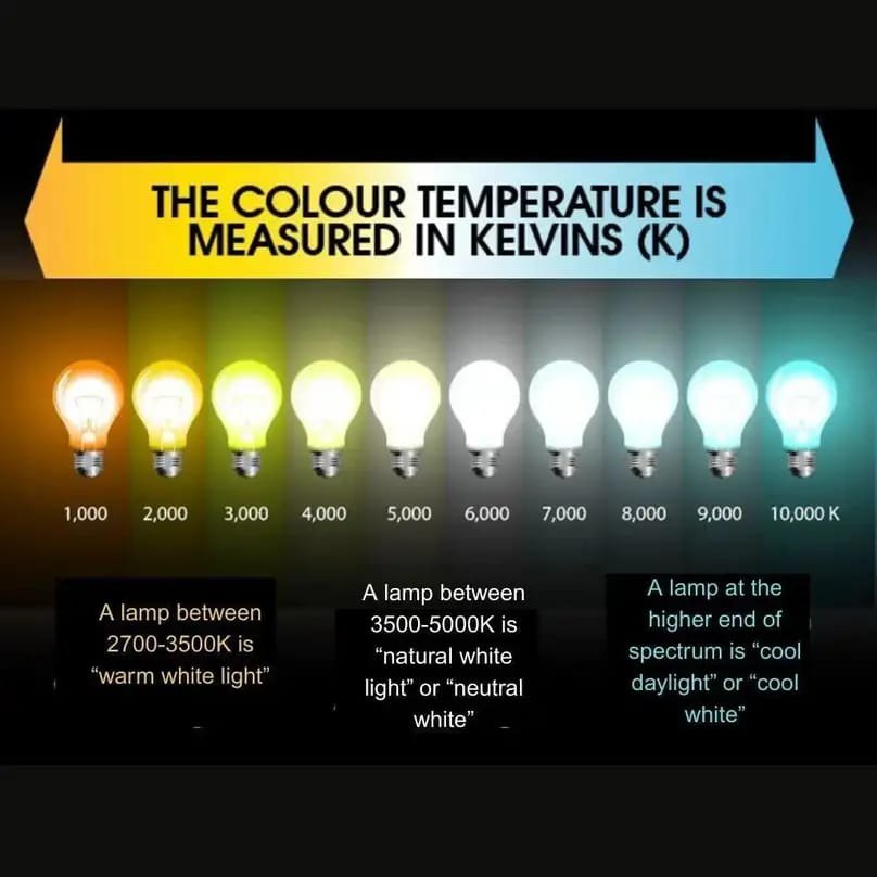 PHILIPS 12 W Basic T-Bulb B22 LED Bulb (White)