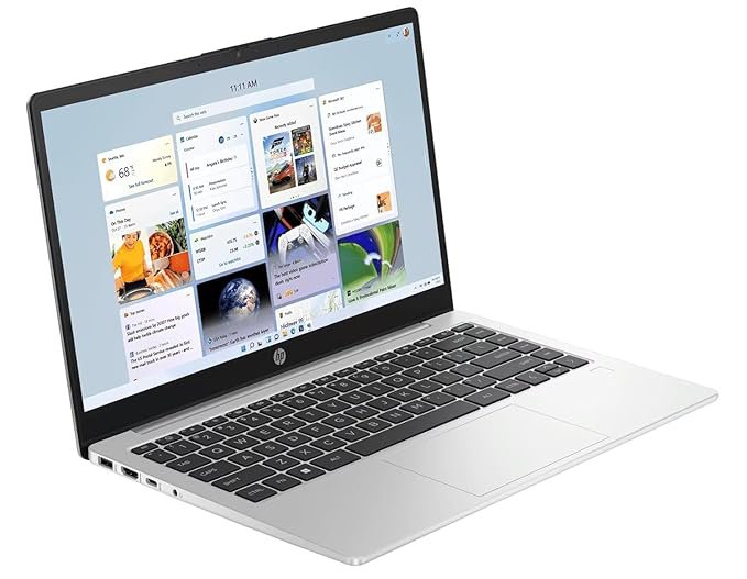 HP 255 G10 Laptop