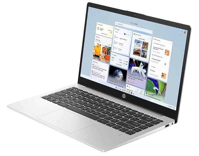 HP 255 G10 Laptop