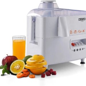 USHA J 3345 450 Watts Juicer