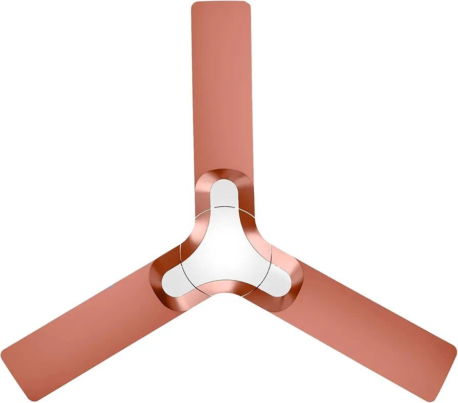 RR Signature 1200MM New