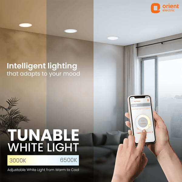 Orient LED Bulb