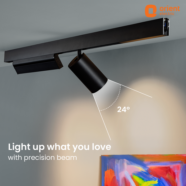 LED Magnelite Track Light
