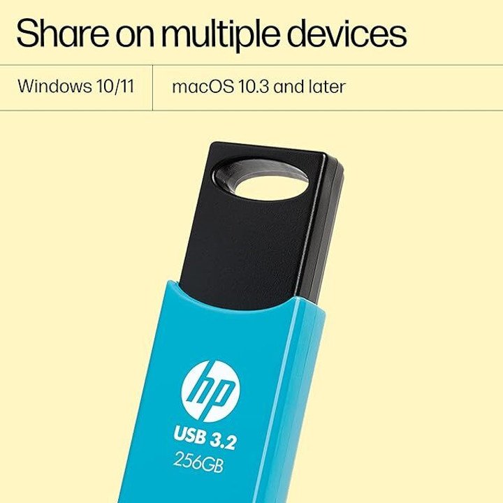 HP 712w 256GB USB 3.2 Flash Drive Blue 256 GB Pen Drive